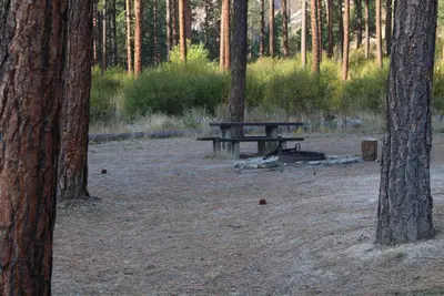 Picnic table and fire ring viewed through trees