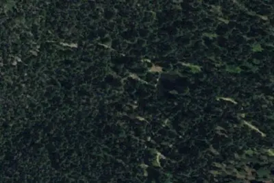 Hedrick Pond Campground