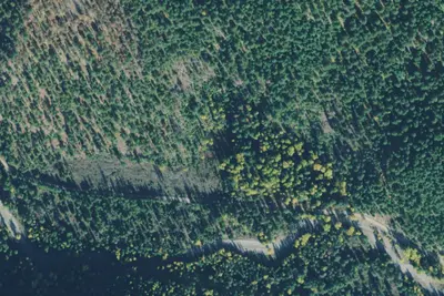 Rd 215 Site 5