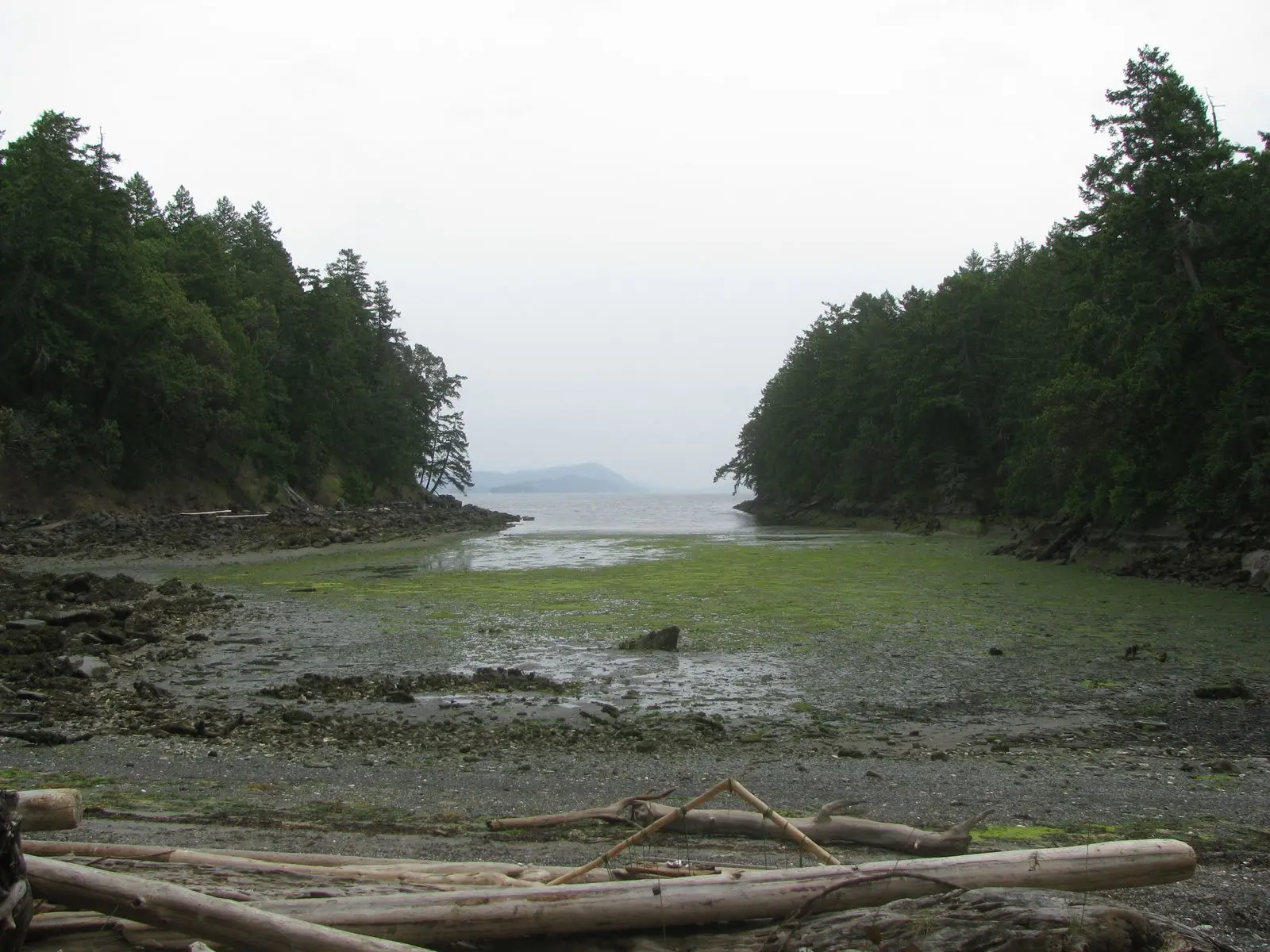 Photo of Wallace Island Marine Park