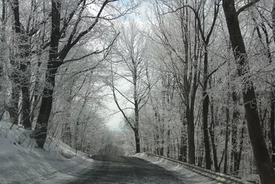 Blue Knob Ski Resort - panoramio (234)