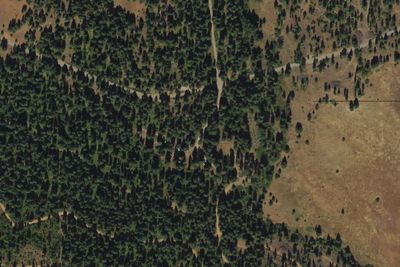 Mcbride Campground