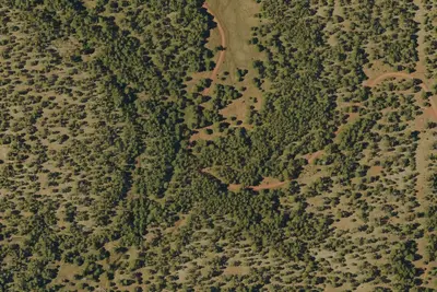 Camp site