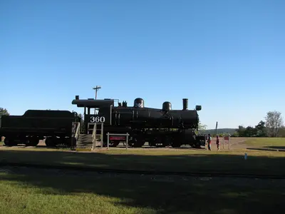 Train - panoramio (35)