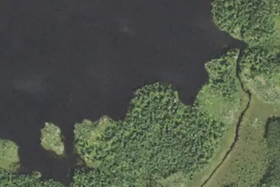 Camp site (USFS)
