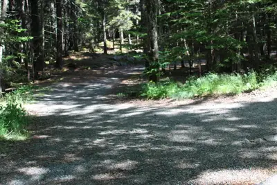 Footpath to coast across Park Loop Road