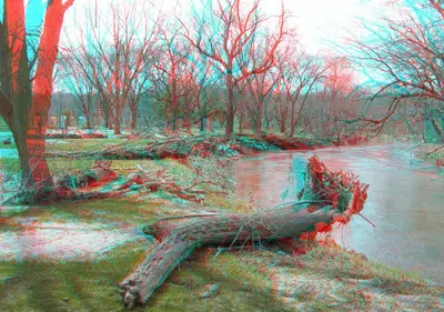 Flickr - jimf0390 - JimF 04-01-10-0027a driftwood from flood Raccoon river at Sac City