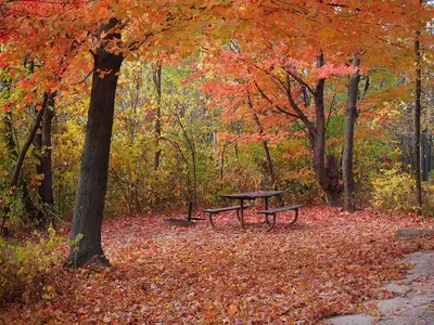 Great River Bluffs State Park campsite