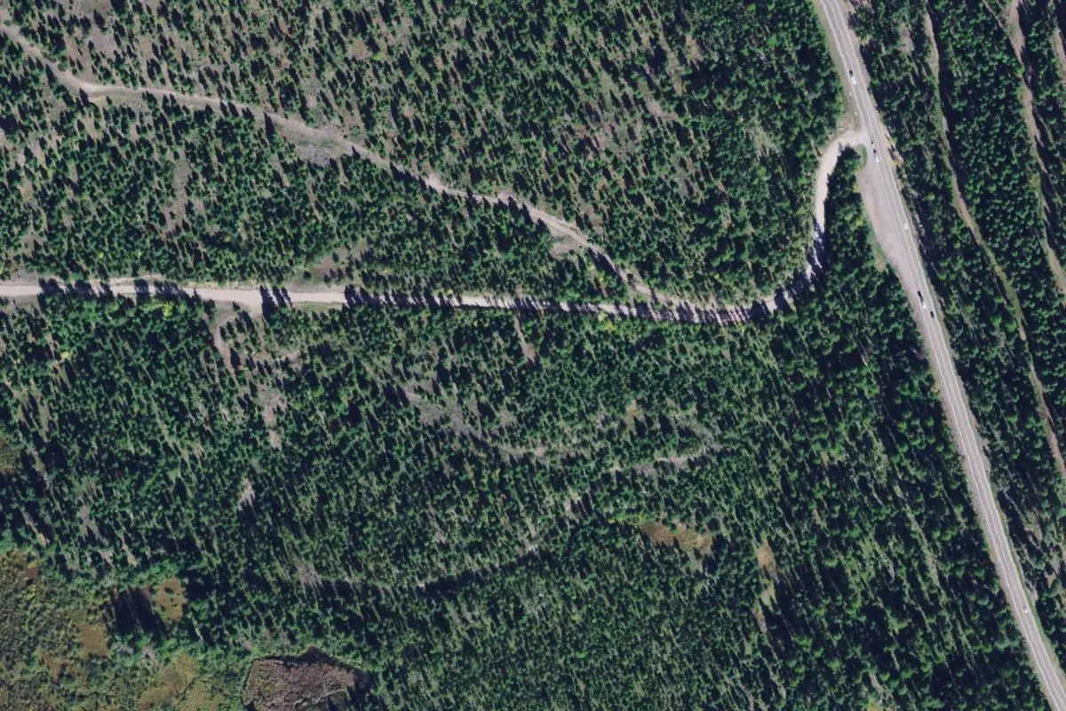 Aerial view