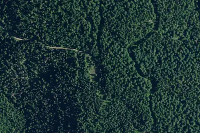Rd 258 Site 2