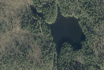 Camp site