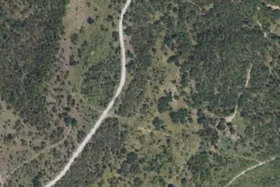 Trail