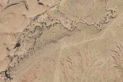 Designated Campsite