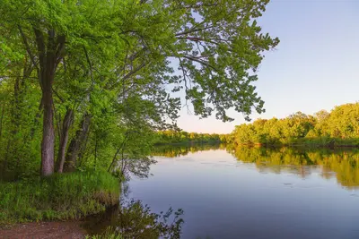 St. Croix River at Sand Creek Landing - Saint Croix State Park, Minnesota (47926134206)