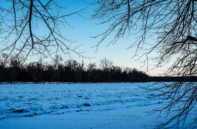 Sand Creek Landing on the Frozen St. Croix River, MInnesota, St. Croix State Park MN (25334234257)