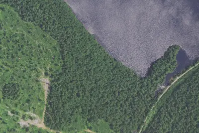 Camp site