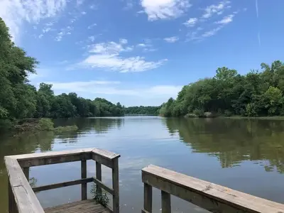 Dhcg pier