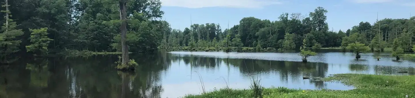 Dhcg