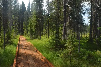 Npnht-lolo-motorway-weitis-meadows-07312013-rogermpeterson (49523091657)