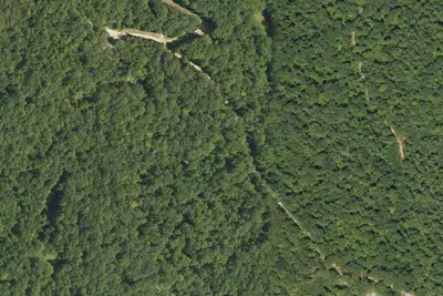 Site 8