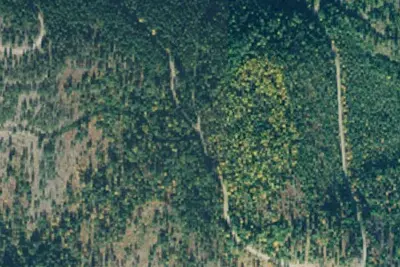 Rd 1912 Site 2