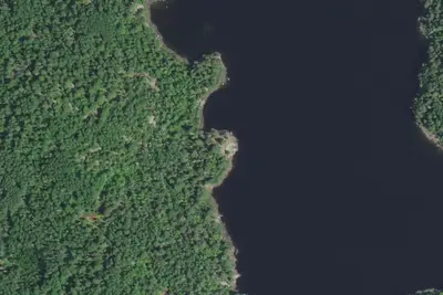 Camp site (Superior National Forest)