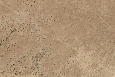 Designated Campsite
