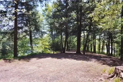 Sun peeks through trees at a campsite