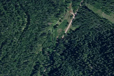 Mm 0.5 F.P. Disp. Site #56