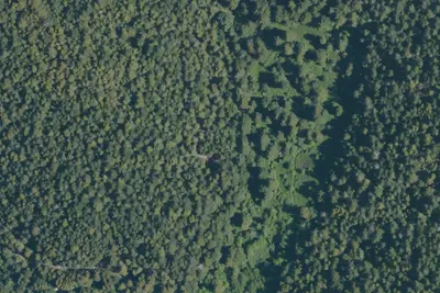 Mendocino Woodlands Camp 1