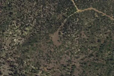 Primitive Campsite