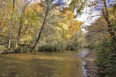 River at campground