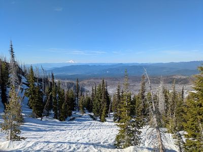 Mount Adams Morrison Creek ski tour (7 May 2025) (54526)