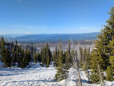 Mount Adams Morrison Creek ski tour (7 May 2025) (24366)