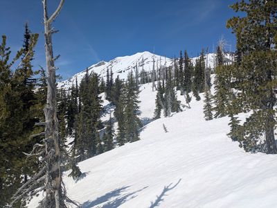Mount Adams Morrison Creek ski tour (6 May 2025) (35971)