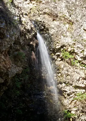Natural Falls State Park 15