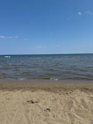 Caissie Cape