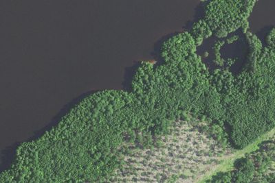 Camp site (Wisconsin Department of Natural Resources)