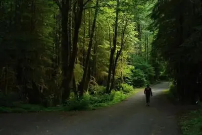 Iron Creek Campground