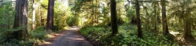 Iron Creek