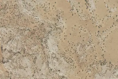 Camp site