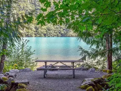 Picnic table with a view of Diablo Lake in a Colonial Creek campsite, framed by trees.