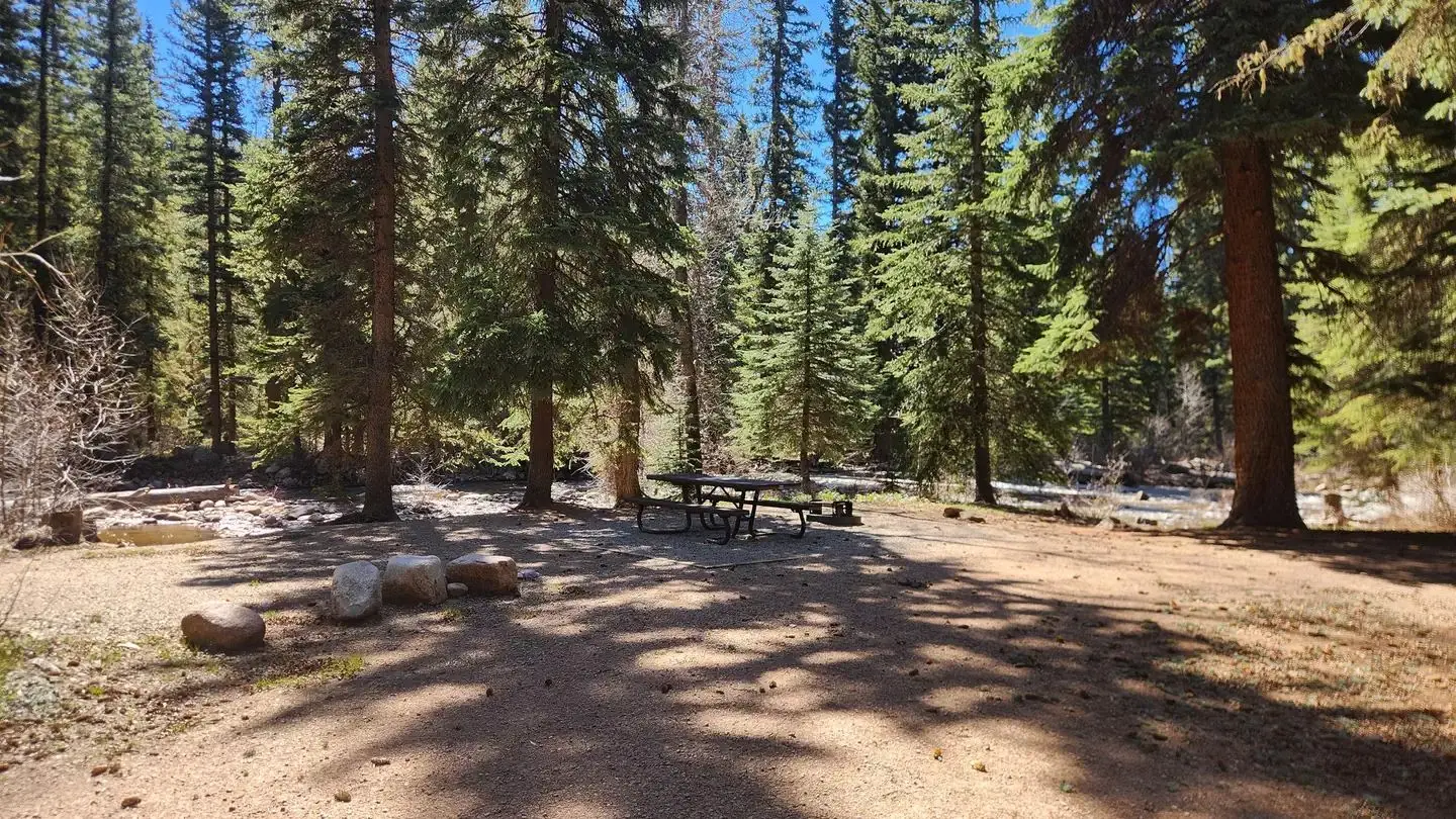 First-come Family camp site located along Florida River with picnic table and fire ring