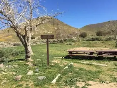 Camp 9