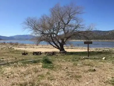 Camp 9