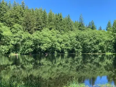 Hebo Lake surrounded by a forested landscape.