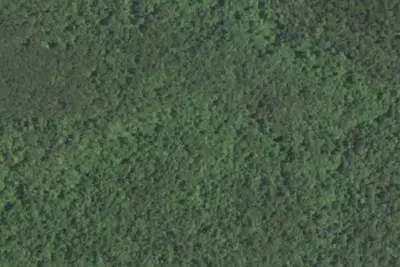 Camp site (Forest Service)