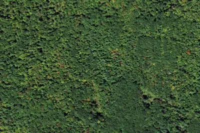 Bivouac Site