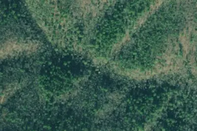Camp site