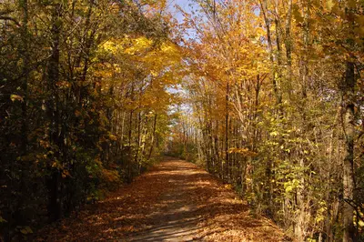 Victoria Rail Trail - panoramio (2)
